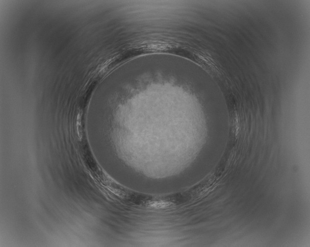 X0000051260360200507011725