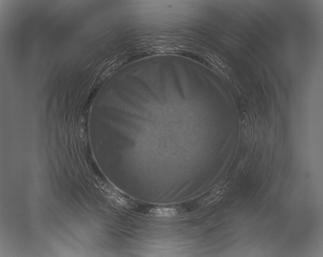X0000051260361200507011725