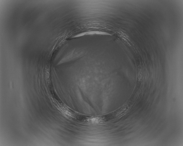 X0000051260365200507011725
