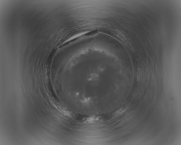 X0000051260366200507011725