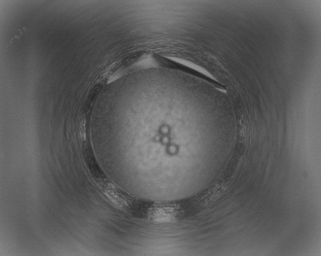 X0000051260368200507011725