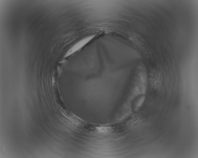 X0000051260371200507011725
