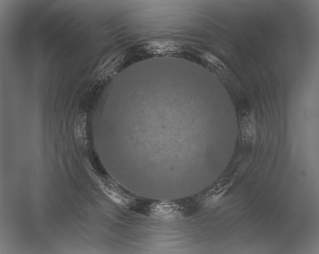 X0000051260372200507011725