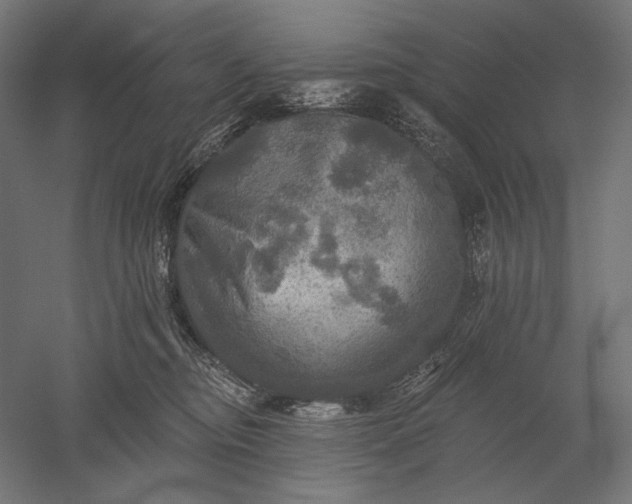 X0000051260374200507011725