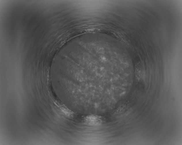 X0000051260375200507011725
