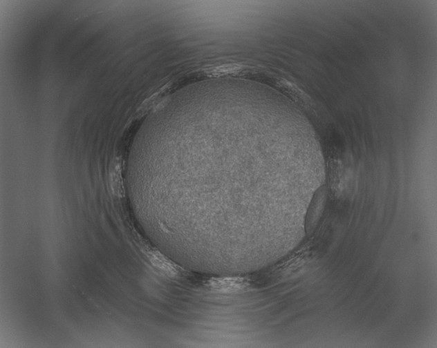 X0000051260378200507011725