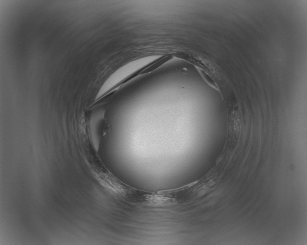X0000051260380200507011725