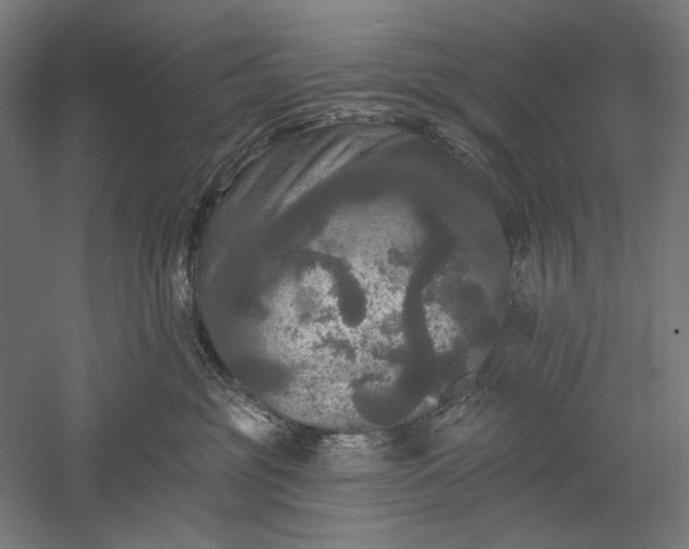 X0000051260381200507011725