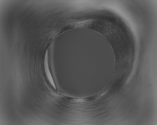 X0000051260383200507011725