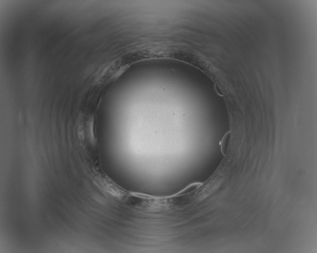 X0000051260384200507011725