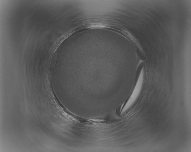 X0000051260385200507011724