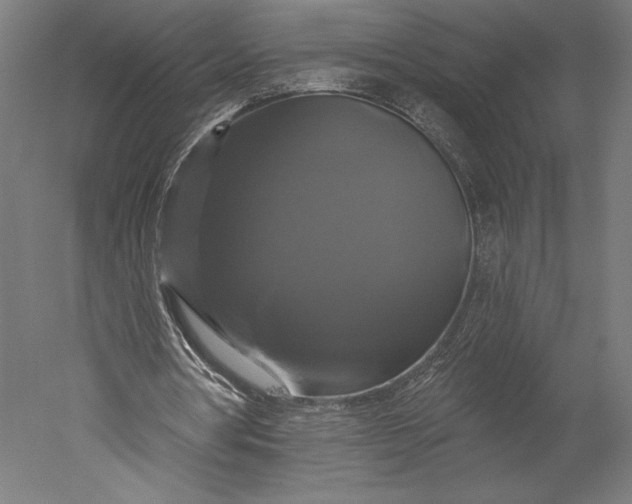 X0000051260386200507011724