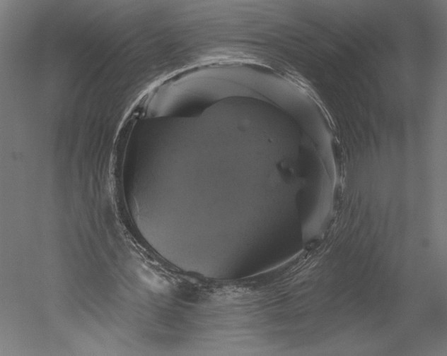 X0000051260387200507011724