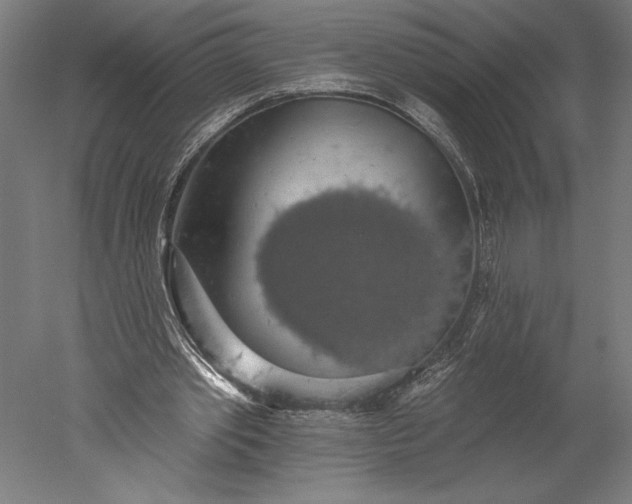 X0000051260389200507011724