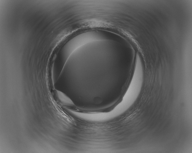 X0000051260391200507011724