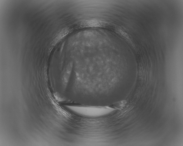 X0000051260394200507011724