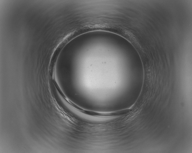 X0000051260395200507011724