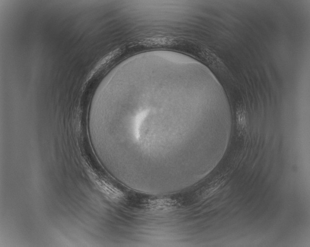 X0000051260396200507011724