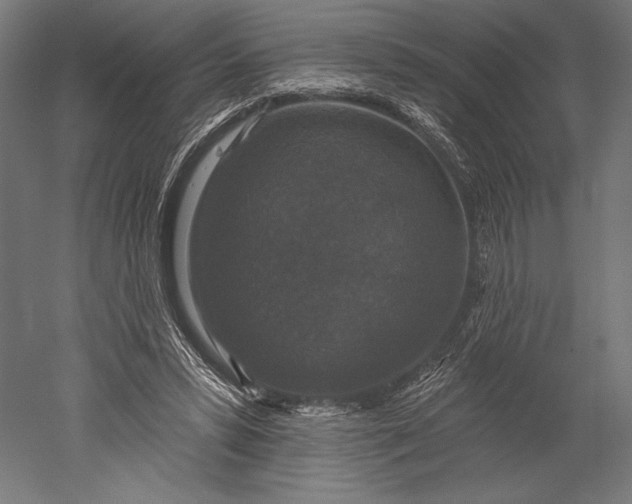 X0000051260399200507011724