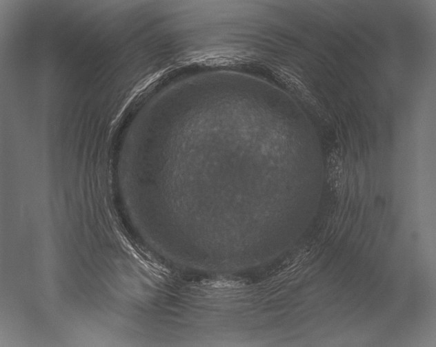 X0000051260400200507011724