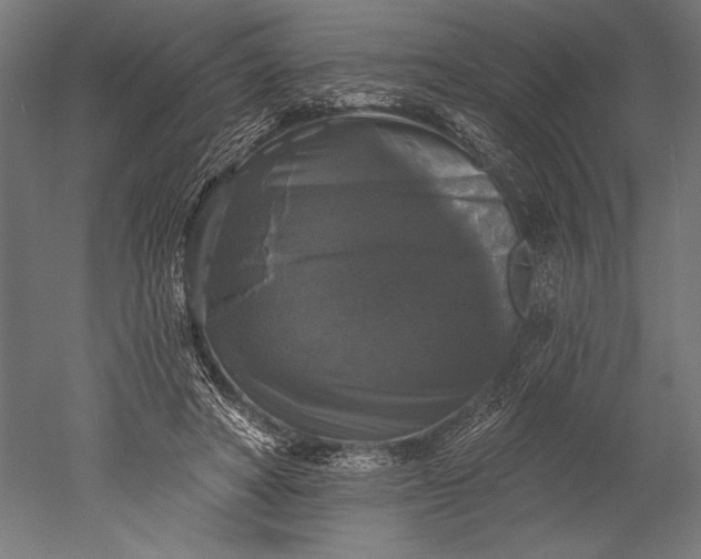 X0000051260402200507011724