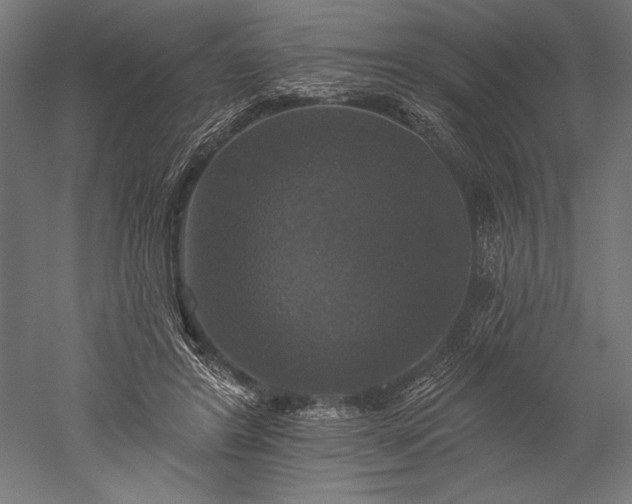 X0000051260404200507011724