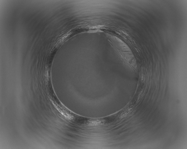 X0000051260405200507011724