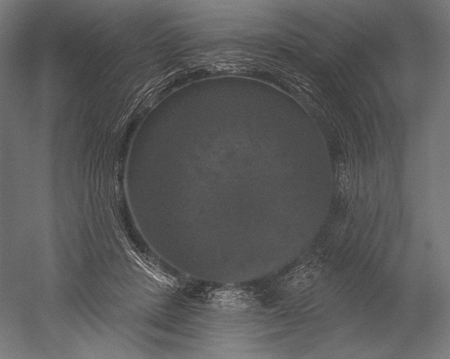 X0000051260408200507011724