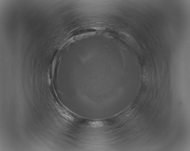 X0000051260409200507011724