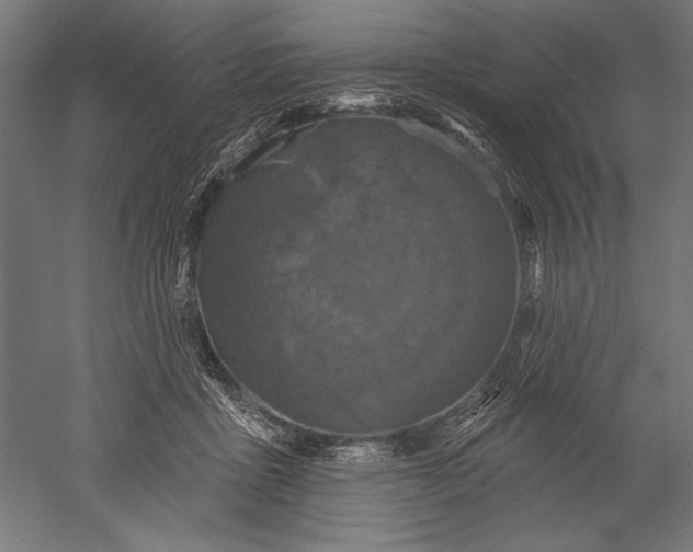 X0000051260411200507011724