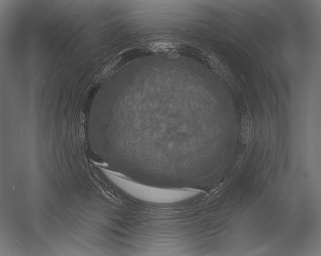 X0000051260413200507011724