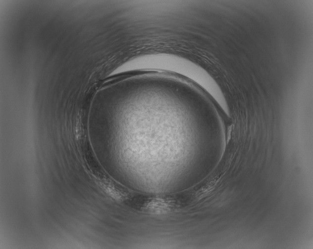 X0000051260416200507011724