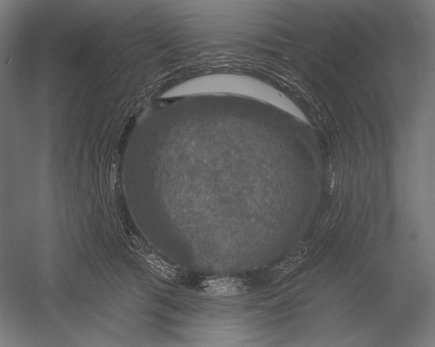 X0000051260417200507011724