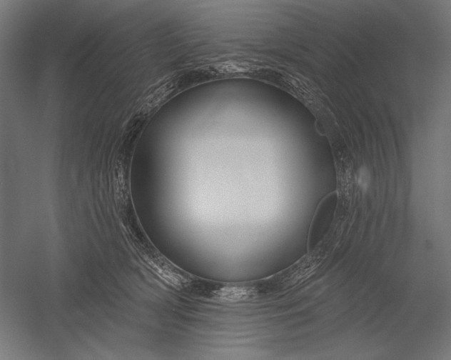 X0000051260418200507011724