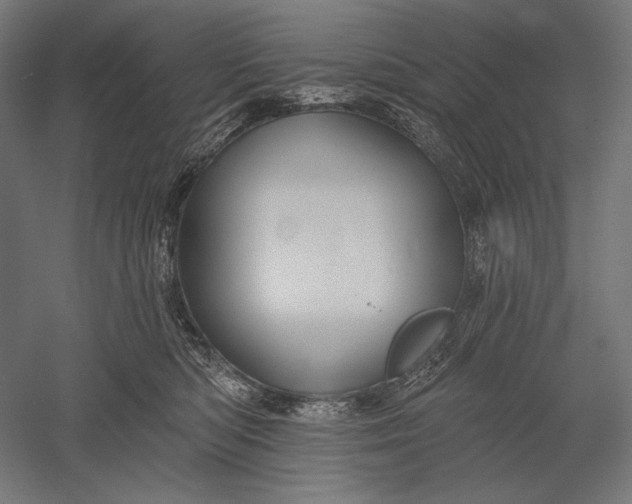 X0000051260422200507011723