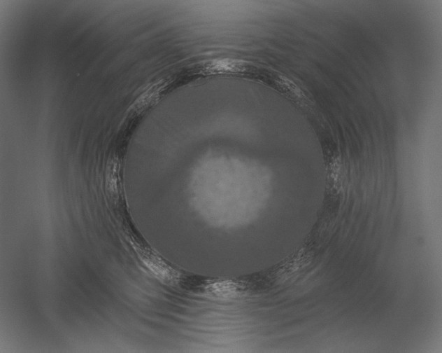X0000051260423200507011723