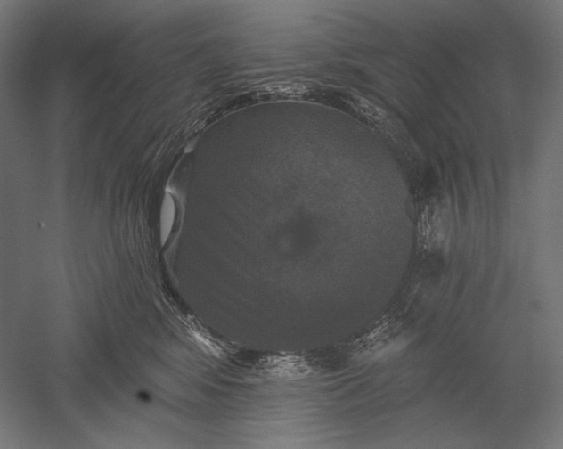 X0000051260424200507011723