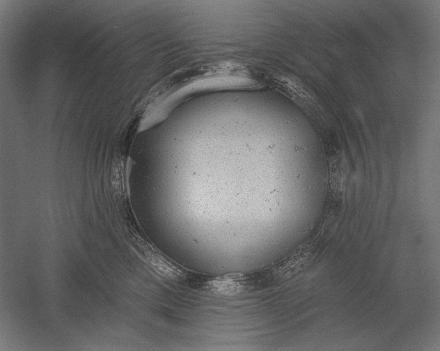 X0000051260425200507011723