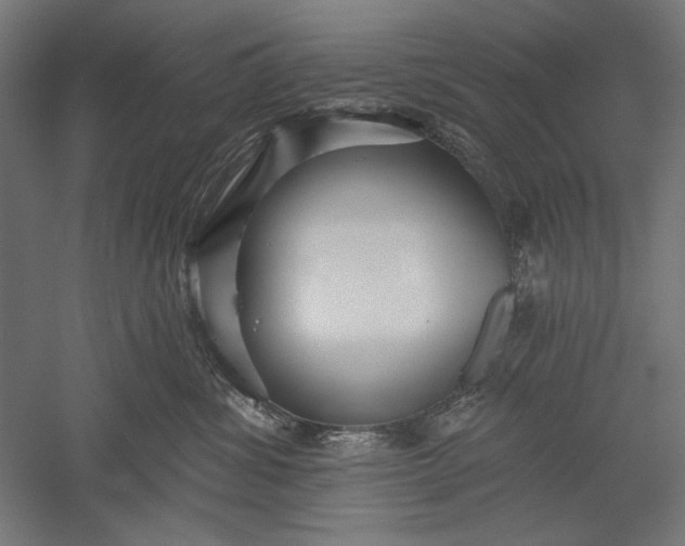 X0000051260428200507011723