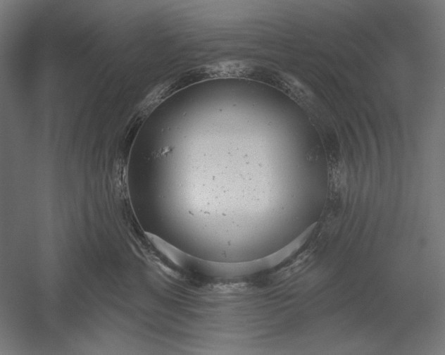 X0000051260429200507011723