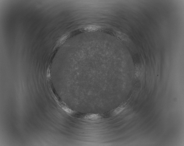 X0000051260431200507011723