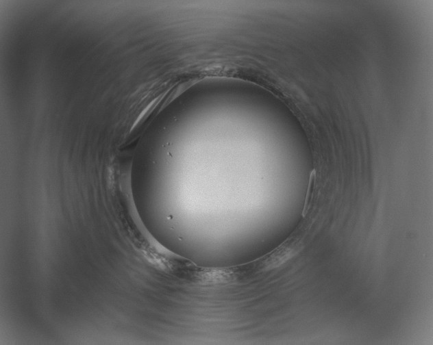 X0000051260432200507011723