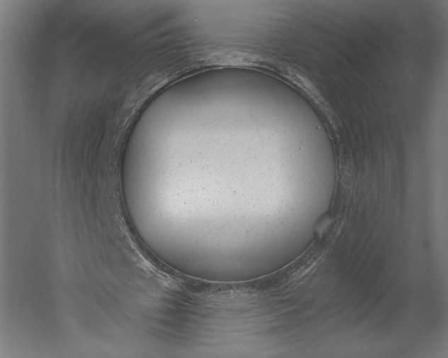 X0000051260433200507011722