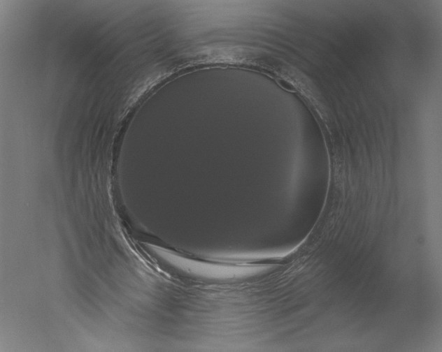X0000051260434200507011722