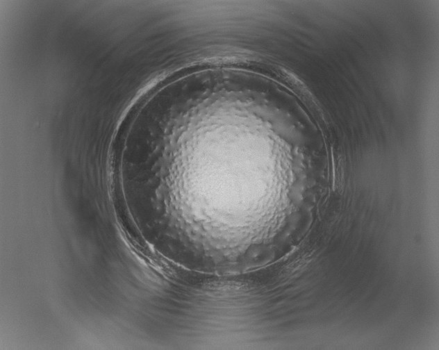 X0000051260435200507011722