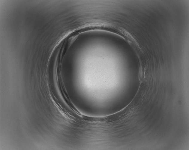 X0000051260436200507011723