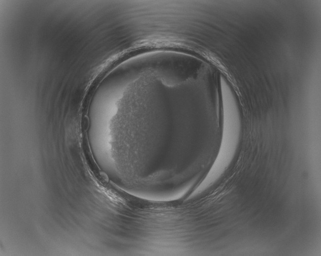X0000051260438200507011723