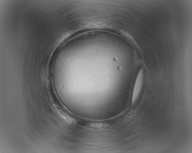 X0000051260439200507011723