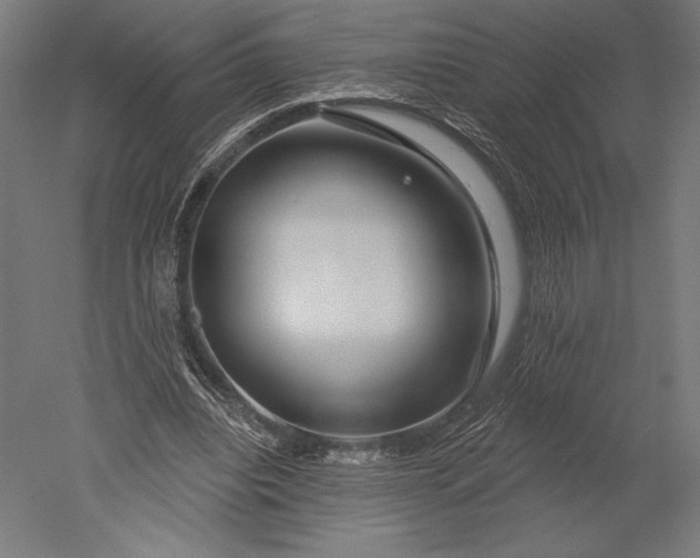 X0000051260440200507011723