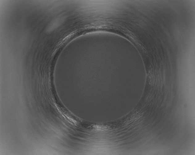X0000051260442200507011723